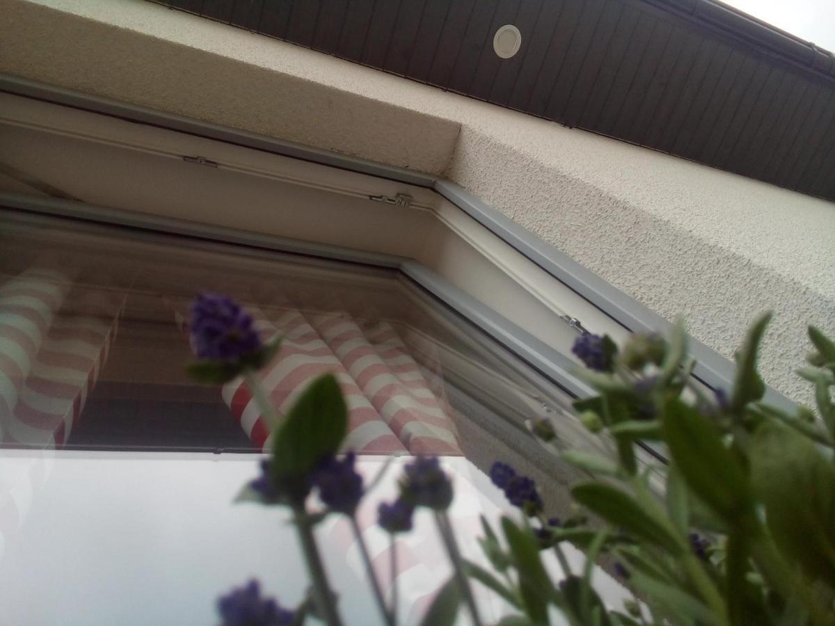 Holiday home Osada Kalinowa Nowecin Sauna Leba
