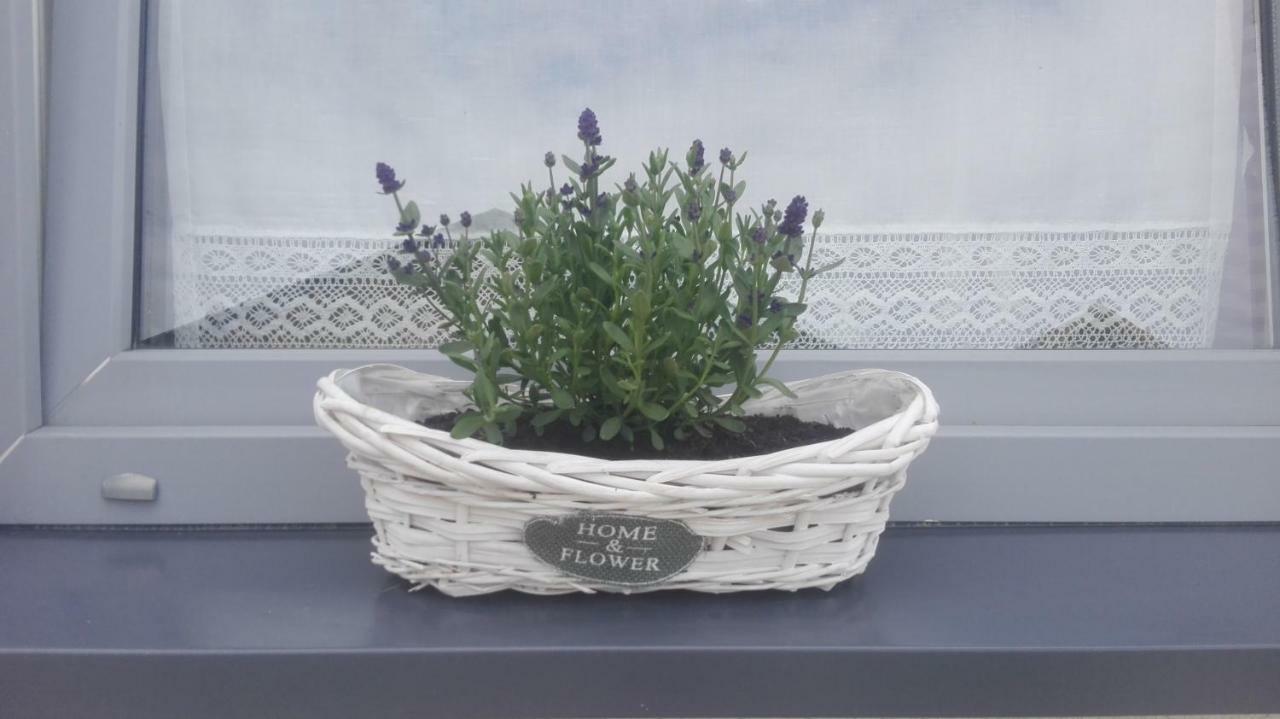 Osada Kalinowa Nowecin Sauna *